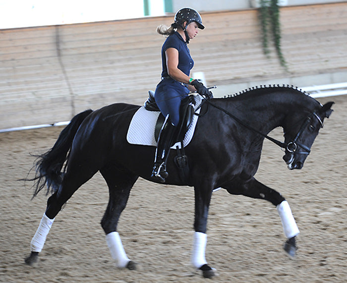 Understanding the German Training System with Christoph Hess