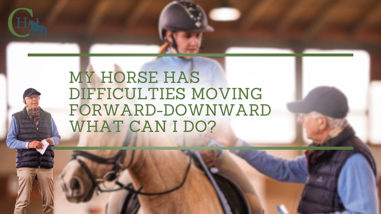 My horse has difficulties moving forward-downward, what can I do?